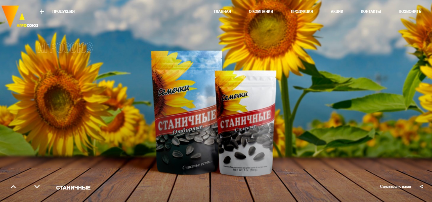 Продвижение сайта АгроСоюз