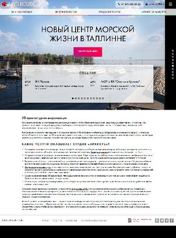 Продвижение сайта студии 3D-визуализации archicube.ru
