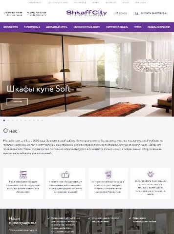Продвижение сайта www.shkaffcity.ru